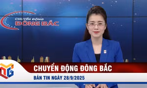 Chuyển động Đông Bắc ngày 28/9/2025