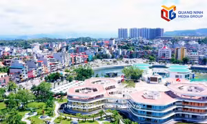 Ngắm Quảng Ninh một năm sau siêu bão Yagi