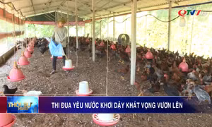 Thi đua yêu nước khơi dậy khát vọng vươn lên