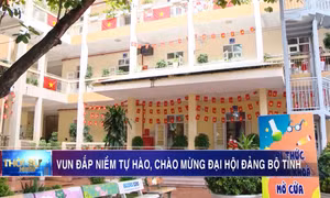 Vun đắp niềm tự hào, chào mừng Đại hội Đảng bộ tỉnh