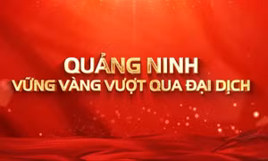 Quảng Ninh vững vàng vượt qua đại dịch