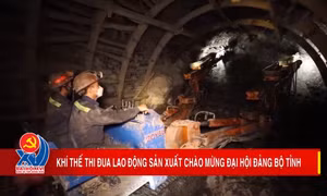 Khí thế thi đua lao động sản xuất chào mừng Đại hội Đảng bộ tỉnh