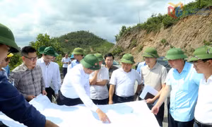 Đồng chí Bí thư Tỉnh ủy kiểm tra khu xử lý rác thải trên địa bàn xã Thống Nhất