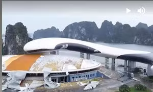 Hồi sinh sau bão dữ