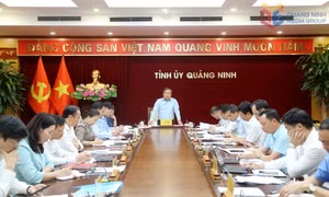 Giao ban Thường trực Tỉnh uỷ