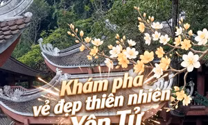Khám phá vẻ đẹp thiên nhiên Yên Tử