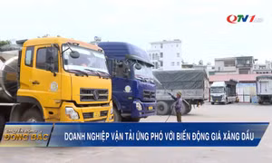 Doanh nghiệp vận tải ứng phó với biến động giá xăng dầu