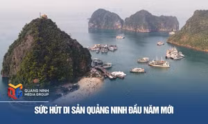 Sức hút di sản Quảng Ninh đầu năm mới