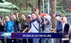 Sôi động du lịch Vịnh Hạ Long