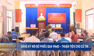 Đăng ký nơi bỏ phiếu qua VNeID – thuận tiện cho cử tri