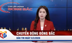 Chuyển động Đông Bắc ngày 8/3/2026