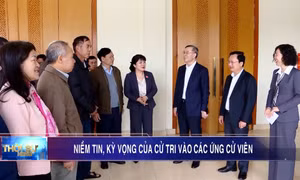 Niềm tin, kỳ vọng của cử tri vào các ứng cử viên