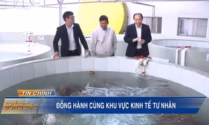 Đồng hành cùng khu vực kinh tế tư nhân