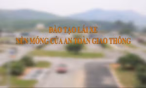 Đào tạo lái xe - Nền móng của an toàn giao thông