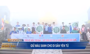 Giữ màu xanh cho di sản Yên Tử