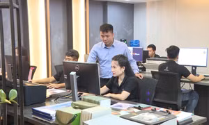 Phong trào khởi nghiệp phát triển mạnh mẽ
