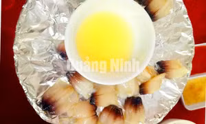 Gỏi tu hài