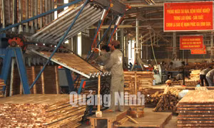 Công ty TNHH chế biến sản xuất gỗ Thanh Lâm (xã Đầm Hà)