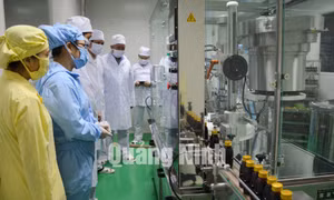 Công ty CP Dược - Vật tư y tế Quảng Ninh