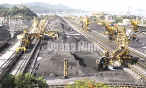 Công ty Tuyển than Cửa Ông