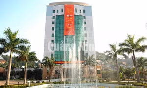 Công ty Than Hạ Long