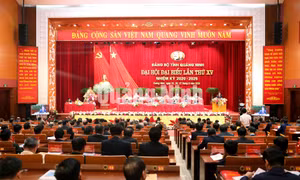 Đại hội Đại biểu Đảng bộ tỉnh lần thứ XV, nhiệm kỳ 2020- 2025, tháng 9-2020
