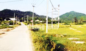 Nông thôn mới đặc khu Cô tô
