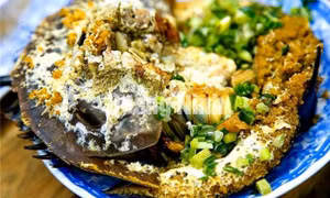 Sam biển Quảng Yên