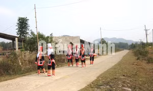 Nông thôn mới huyện Hải Hà