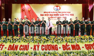 Đại hội đại biểu Đảng bộ Quân sự tỉnh lần thứ VIII, tháng 7-2020