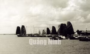 Ảnh tư liệu TX Quảng Yên