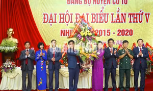 Đại hội Đảng bộ huyện Cô Tô lần thứ V, nhiệm kỳ 2015- 2020