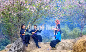 Dân tộc Tày tỉnh Quảng Ninh