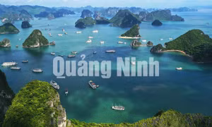 Vịnh Hạ Long