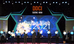 Xếp hạng DDCI của các sở, ngành, địa phương Quảng Ninh từ 2016-2023