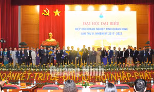 Đại hội đại biểu Hiệp hội doanh nghiệp tỉnh Quảng Ninh lần thứ II, nhiệm kỳ 2017-2022
