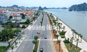 Đường bao biển Trần Quốc Nghiễn