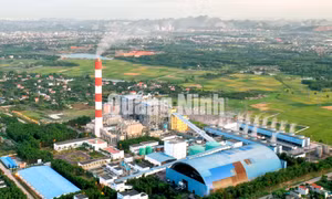Công ty Nhiệt điện Đông Triều - TKV