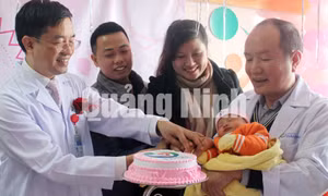 Em bé đầu tiên ra đời bằng phương pháp thụ tinh trong ống nghiệm tại Quảng Ninh, tháng 12-2017