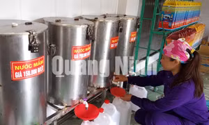 Công ty CP Thủy sản Cái Rồng (đặc khu Vân Đồn)