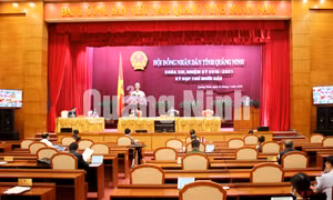 Kỳ họp thứ 16, HĐND tỉnh khóa XIII, nhiệm kỳ 2016-2021, tháng 3-2020
