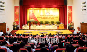 Đại hội Đại biểu Đảng bộ TP Móng Cái lần thứ XXIV, nhiệm kỳ 2020-2025, tháng 5-2020