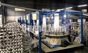 Công ty TNHH Bao bì quốc tế Bình An Việt Nam (TX Đông Triều)
