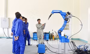 Trường Cao đẳng nghề Việt - Hàn Quảng Ninh (phường Hoành Bồ)