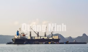 Những con tàu chờ than