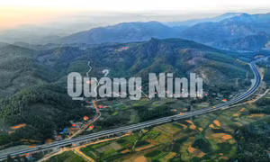 Cao tốc Hạ Long - Vân Đồn