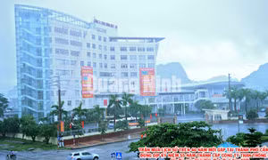 Công ty Than Thống Nhất