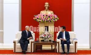 Chủ tịch UBND tỉnh Nguyễn Tường Văn tiếp xã giao Đại sứ Đặc mệnh toàn quyền nước Cộng hòa Indonesia tại Việt Nam, tháng 11-2020