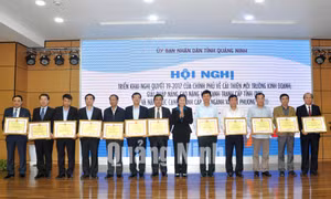 Hội nghị triển khai Nghị quyết 19/2017 của Chính phủ về cải thiện môi trường đầu tư, kinh doanh; giải pháp nâng cao năng lực cạnh tranh cấp tỉnh (PCI) và năng lực cạnh tranh cấp sở, ngành, địa phương (DDCI), tháng 3-2017