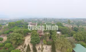 Chùa Quỳnh Lâm (Phường Bình Khê)